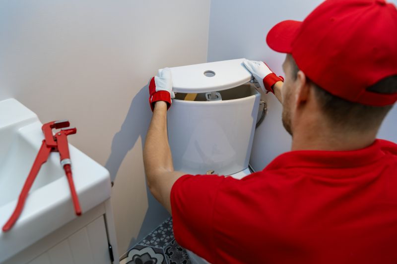 Commercial Toilet Repair detail