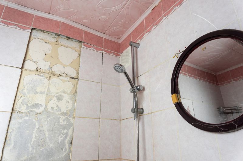 Leaky Shower Repair