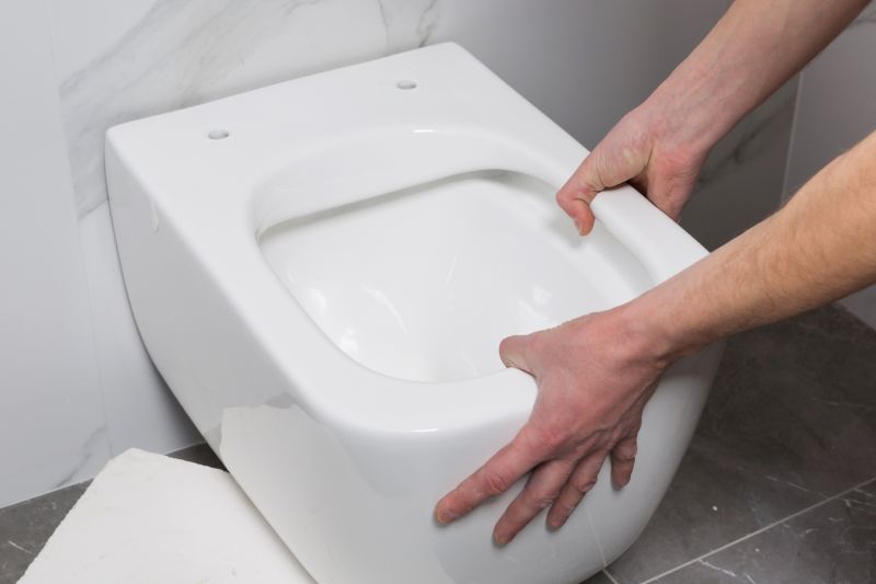 Toilet Removal