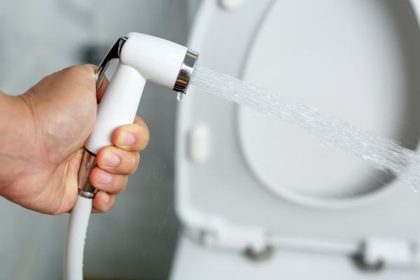 Cost of Bidet Installation in Frisco