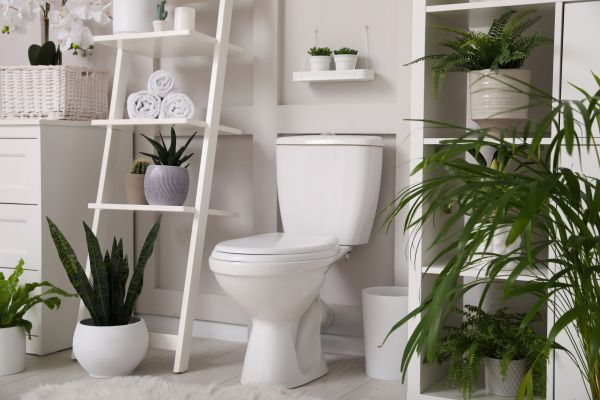 Cost of Toilet Repair in Frisco