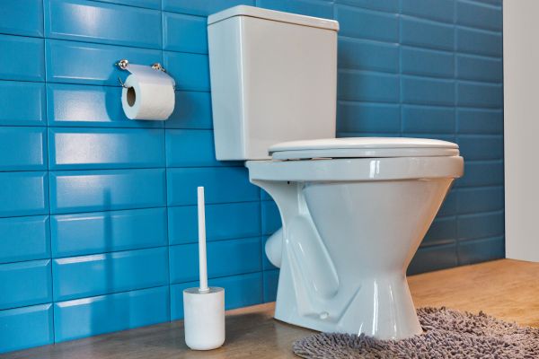 Cost of Toilet Tank Repair in Frisco